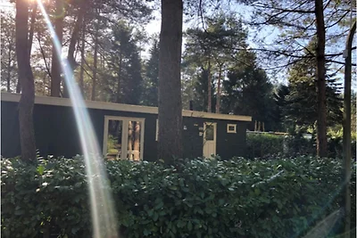 Ruhiger Chalet-Rückzugsort in Antwerpen...