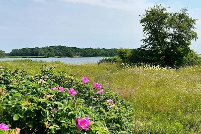 4 Sterne Ferienhaus in MÖRRUM