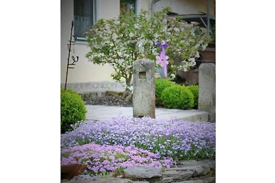 Ferienwohnung mit 1 Schlafzimmer