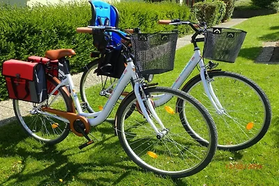 Meeuw (Meeuwennest Scharbeutz)