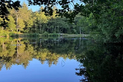 6 Personen Ferienhaus in Bindslev-By Traum