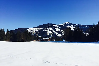 Cascina a Hopfgarten SkiWelt