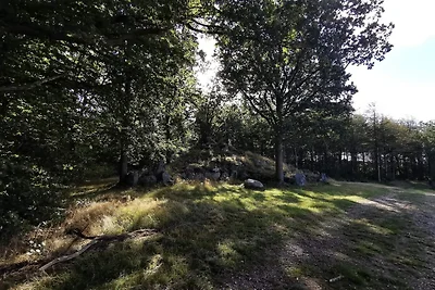 Casa vacanze ben tenuta a Faborg