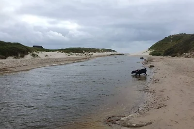 8 Personen Ferienhaus in Blåvand