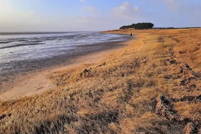 5 Personen Ferienhaus in Rømø-By Traum