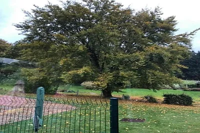 Nella regione (estate) (>5 km) Nella regione (estate) (>5 km)