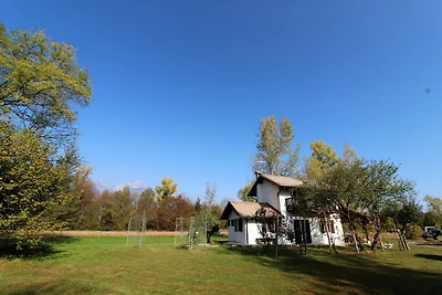 Haus zwischen dem Fluss Piave und den Bellune...