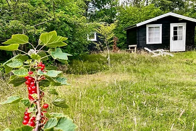 5 Personen Ferienhaus in Vesløs-By Traum