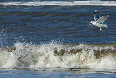 Ferienwohnung in Juist mit Schwimmbecken