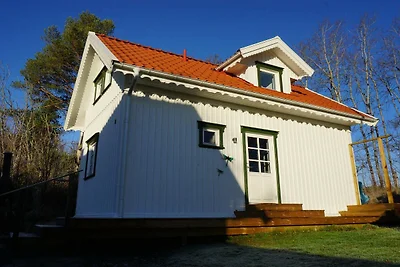 4 Personen Ferienhaus in Tanumshede