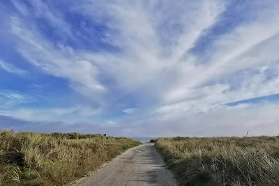 8 Personen Ferienhaus in Ålbæk-By Traum