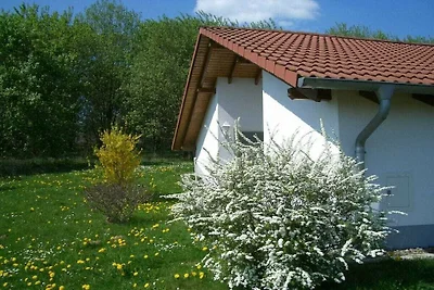 Eingeschossiger Bungalow mit Südterrasse