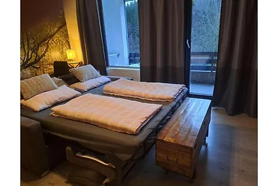 Wohnung mit Balkon in Winterberg