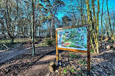 Wald-Glamping in Bury St.
