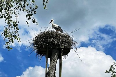 4 Personen Ferienhaus in LÖVESTAD