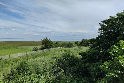 4 Personen Ferienhaus in Fanø-By Traum