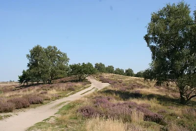 Cozy house with garden, near Maasduinen