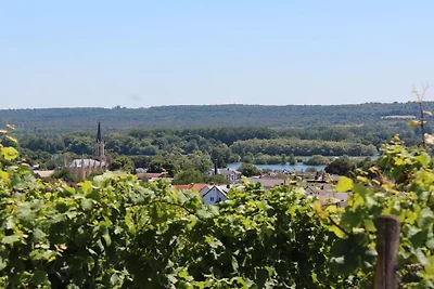 "Pinot Nero" presso la cantina Lamm Jung