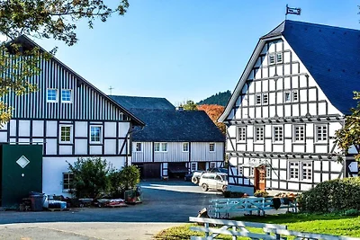 Feldmann-Schütte