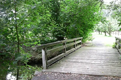 Ferienhaus in Wietzendorf f�r 5 Personen
