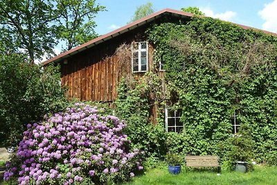 Ferienwohnung in Dorfmark