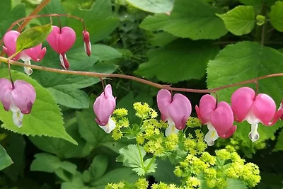 Ferienwohnung mit 1 Schlafzimmer