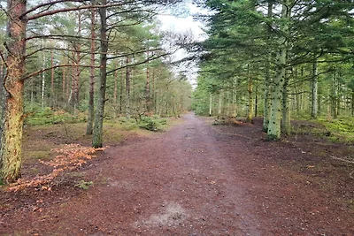 8 Personen Ferienhaus in Ålbæk