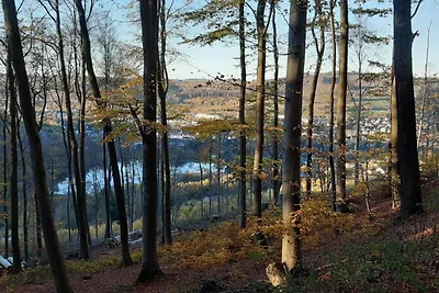 Sfeervol vakantiehuis in Olsberg met een...
