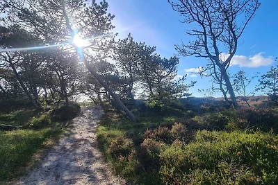 Rifugio tranquillo a Bolilmark-By Traum