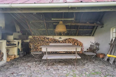 5 Sterne Ferienhaus in Ålbæk