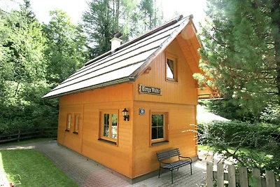 Ferienhaus in Skigebiet von Bad...