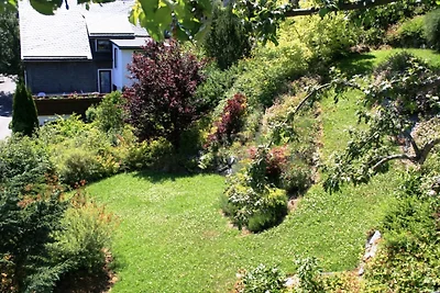 Ferienwohnung bei Willingen mit Terrasse