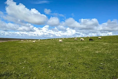 Penthouse aan het Noorderstrand op de dijk