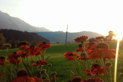 Hirterhütte Familie  Gsenger