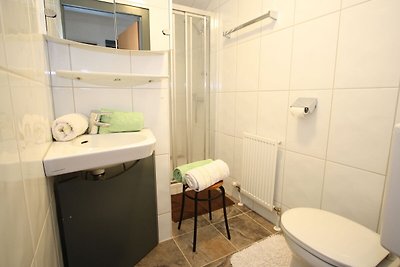 Ruim appartement in Salzburgerland met...