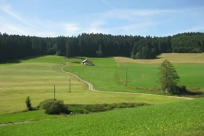 Zipfelhanisenhäusle