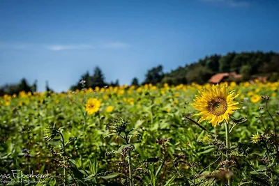 Kuća za odmor Dopust za oporavak Eisenberg