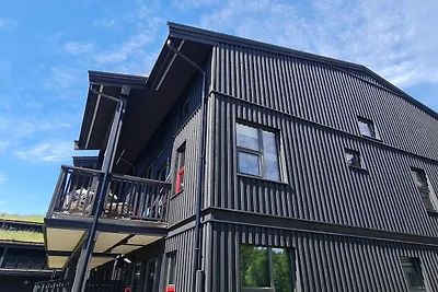4 Sterne Ferienhaus in Hovden