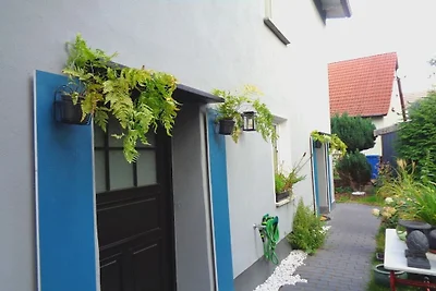 Bergen auf Rügen