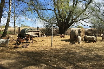 Ferienhaus mit Kamin am Achterwasser in Lütow