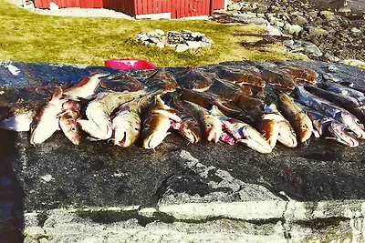 8 personas casa en Austefjorden