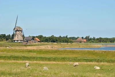 Ferienhaus in Texel in der Nähe des Meeres