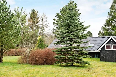 4 Personen Ferienhaus in Fårvang-By Traum