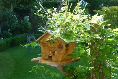 Appartement de vacances à Wesel avec piscine