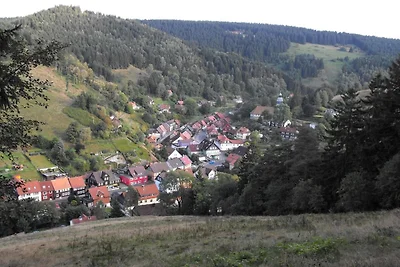 Aangenaam appartement in Wildemann