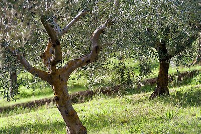 Agriturismo a Giano dell'Umbria con vasca...