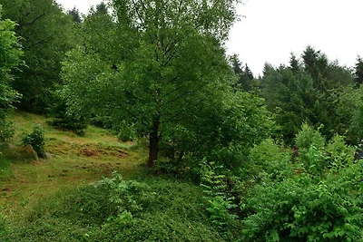 Appartamento vicino Willingen Sport
