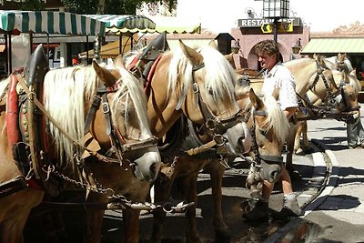 Grazioso appartamento a Seefeld vicino al...