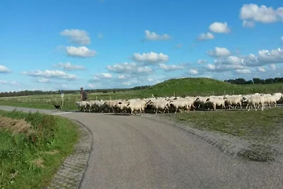 Kuća za odmor Dopust za oporavak Arnemuiden