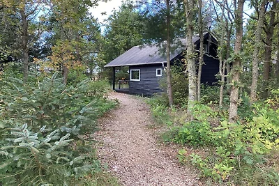 Hütte für 4 Personen im Campingresort Pandrup